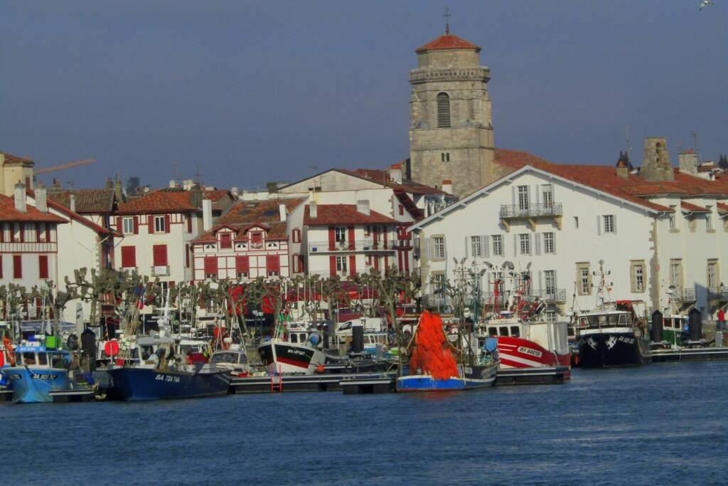 Maison Individuelle Cote Basque シブール エクステリア 写真